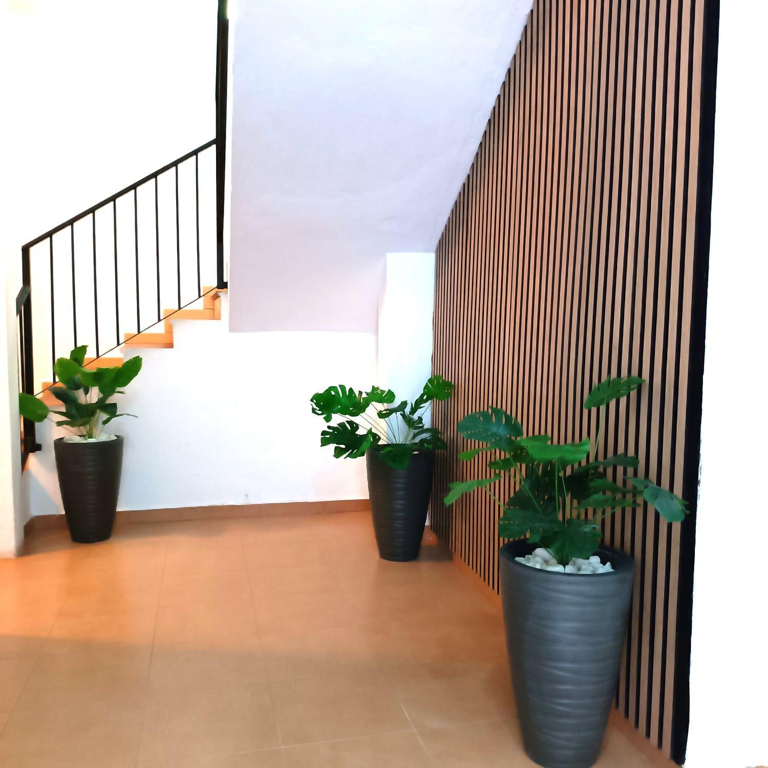 Apartamentos Calle Nueva Málaga Eksteriør billede