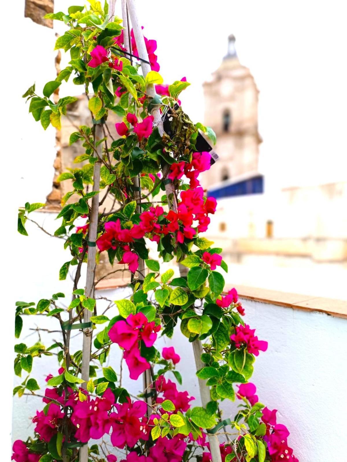 Apartamentos Calle Nueva Málaga Eksteriør billede